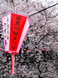 20100403_191shuusei.jpg