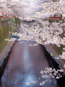 20100403_196shuusei.jpg