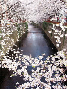 20100403_205shuusei.jpg