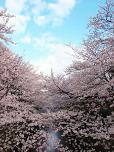 20100403_214shuusei.jpg