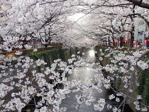 20100403_226shuusei.jpg
