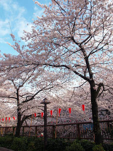20100403_243shuusei.jpg