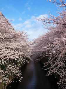 20100403_256shuusei.jpg
