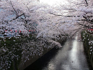 20100403_265shuusei.jpg