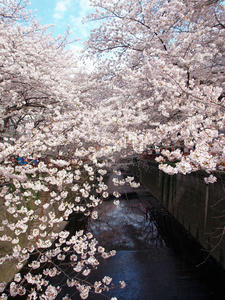 20100403_288shuusei.jpg