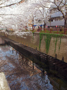 20100403_302shuusei.jpg