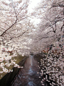 20100403_315shuusei.jpg