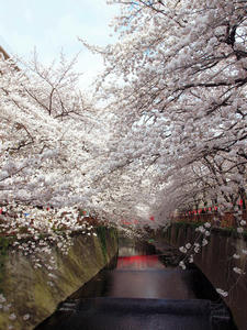 20100403_329shuusei.jpg