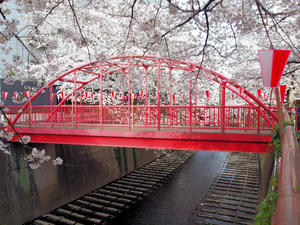20100403_389shuusei.jpg