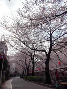 20100403_390shuusei.jpg