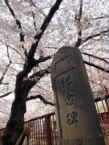 20100403_401shuusei.jpg