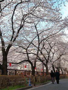 20100403_411shuusei.jpg