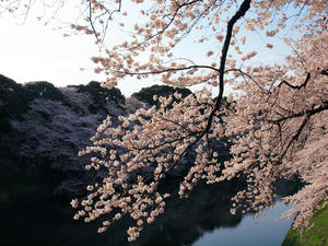 20100404_88shuusei.jpg