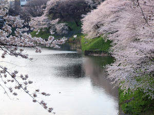 20100404_11shuusei.jpg