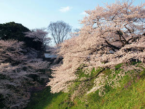 20100404_26shuusei.jpg