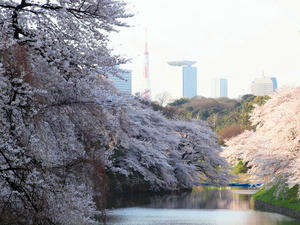 20100404_62shuusei.jpg