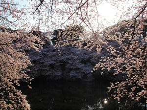 20100404_123shuusei.jpg