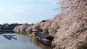 20100404_180shuusei.jpg