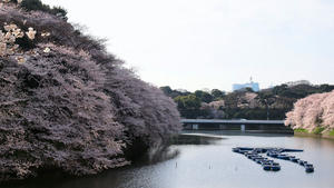 20100404_186shuusei.jpg