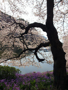 20100404_195shuusei.jpg