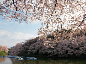20100404_279shuusei.jpg