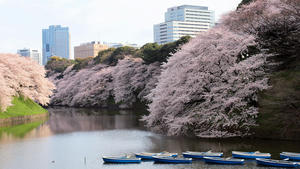 20100404_297shuusei.jpg