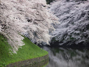 20100404_327shuusei.jpg