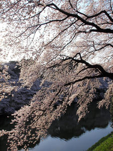20100404_119shuusei.jpg