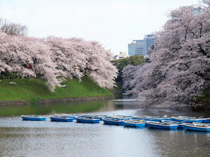 20100404_222shuusei.jpg
