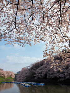 20100404_288shuusei.jpg
