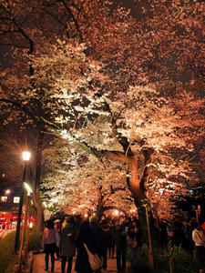 20100404_546shuusei.jpg