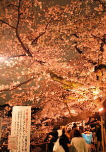 20100404_392shuusei.jpg