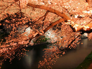 20100404_399shuusei.jpg