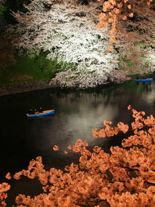 20100404_412shuusei.jpg