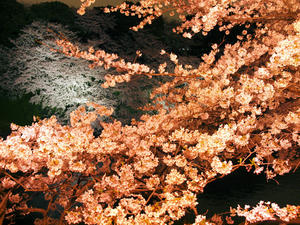 20100404_414shuusei.jpg