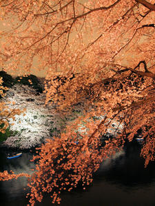 20100404_420shuusei.jpg