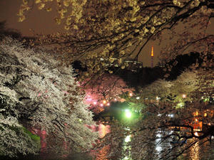 20100404_479shuusei.jpg