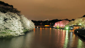 20100404_501shuusei.jpg