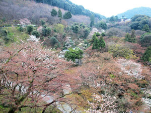 20100402_11shuusei.jpg