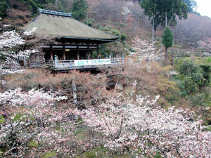 20100402_19shuusei.jpg