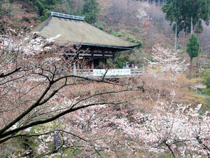 20100402_22shuusei.jpg