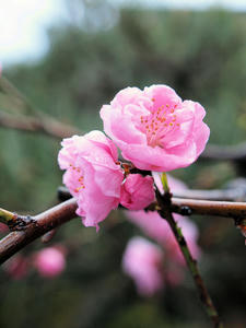 20100402_79shuusei.jpg