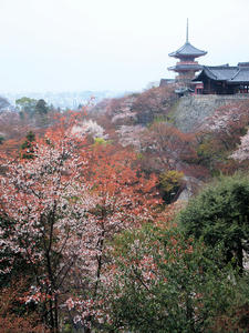 20100402_92shuusei.jpg