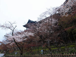20100402_104shuusei.jpg