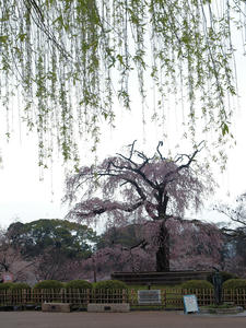 20100402_204shuusei.jpg