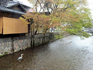 20100402_247shuusei.jpg