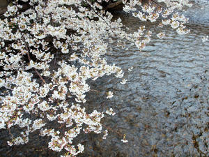 20100402_249shuusei.jpg