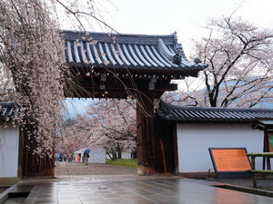 20100402_259shuusei.jpg