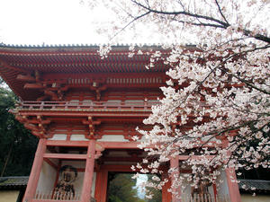 20100402_275shuusei.jpg