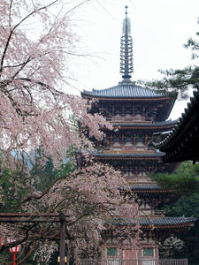 20100402_307shuusei.jpg